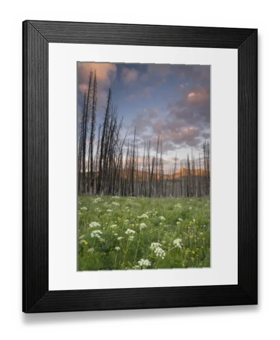 Framed Print : USA, North America, Washington