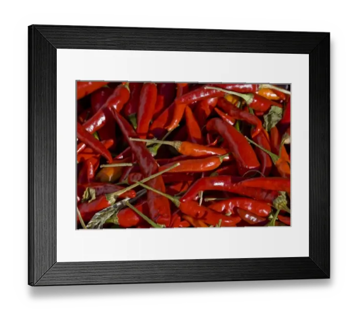 Framed Print : USA, New Mexico, Hatch Chilies Framed Print : USA, New Mexico, Hatch Chilies