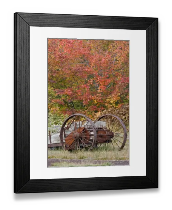 Framed Print : USA, Oregon, Willamette National Forest. Vintage farm equipment next to historic