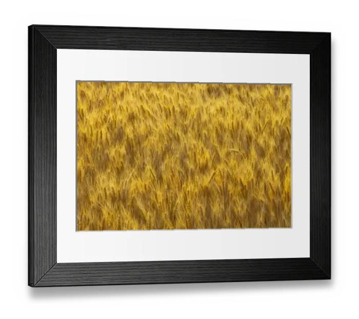 Framed Print : USA, North America, Washington Framed Print : USA, North America, Washington