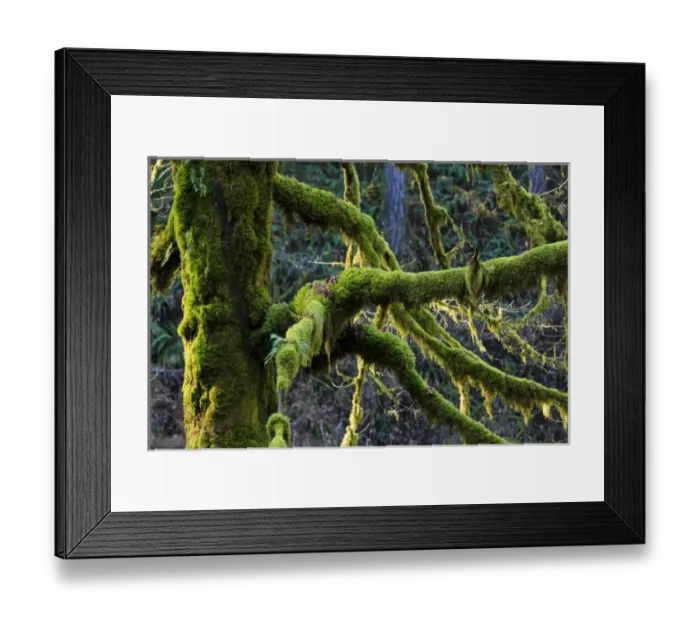 Framed Print : USA, North America, Oregon Framed Print : USA, North America, Oregon