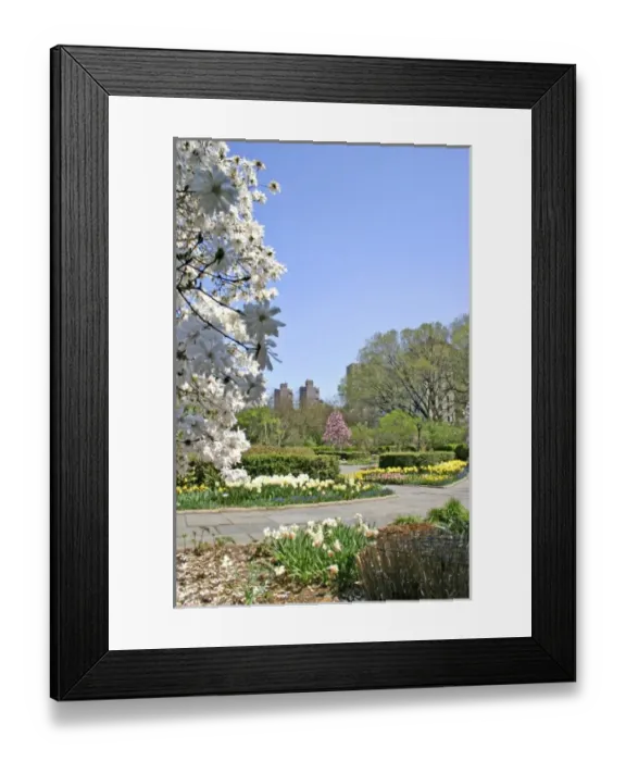 Framed Print : USA, North America, New York Framed Print : USA, North America, New York