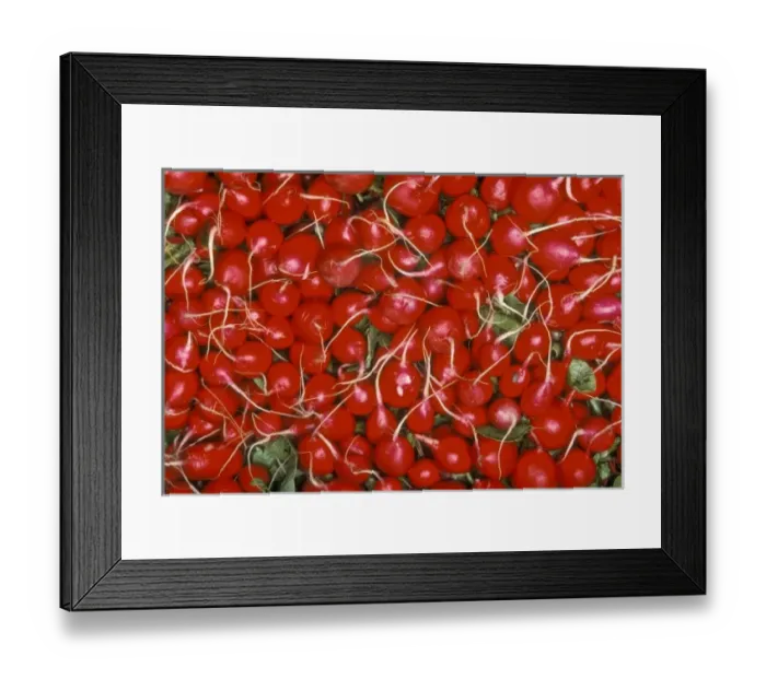 Framed Print : Red Radishes at grocery store. North America, USA, Oregon, Portland