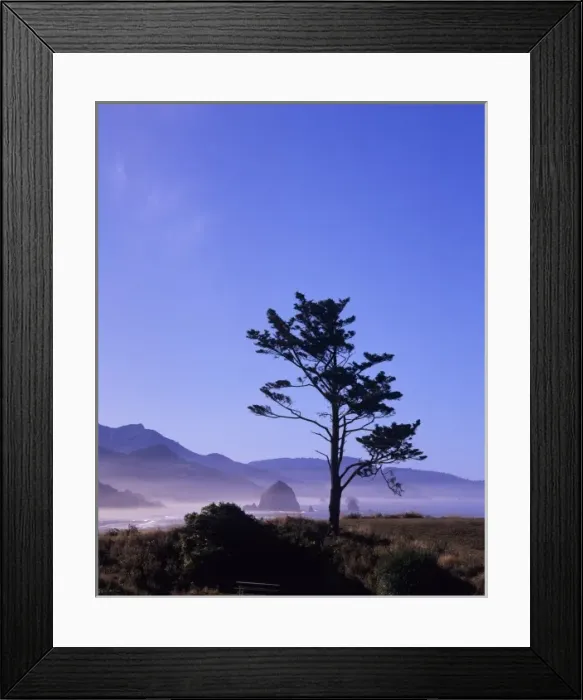 Framed Print : OR, Ecola SP, Seastacks at Cannon Beach, Haystack Rock in background Framed Print : OR, Ecola SP, Seastacks at Cannon Beach, Haystack Rock in background