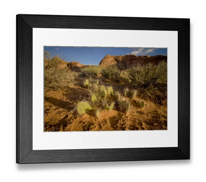 Framed Print : USA, Utah, Canyonlands National Park, along Colorado River south of Moab, prickly Framed Print : USA, Utah, Canyonlands National Park, along Colorado River south of Moab, prickly