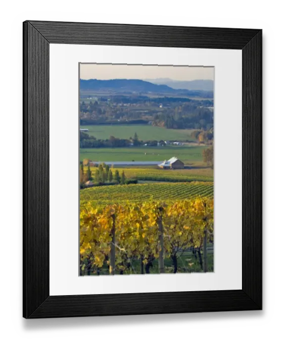 Framed Print : USA, North America, Oregon