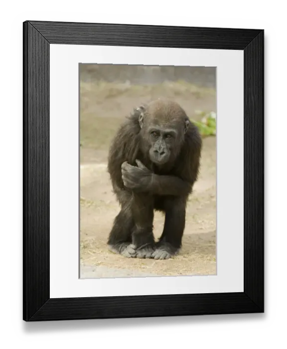 Framed Print : USA, North America, New Mexico
