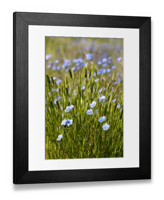 Framed Print : USA, North America, North Dakota Framed Print : USA, North America, North Dakota