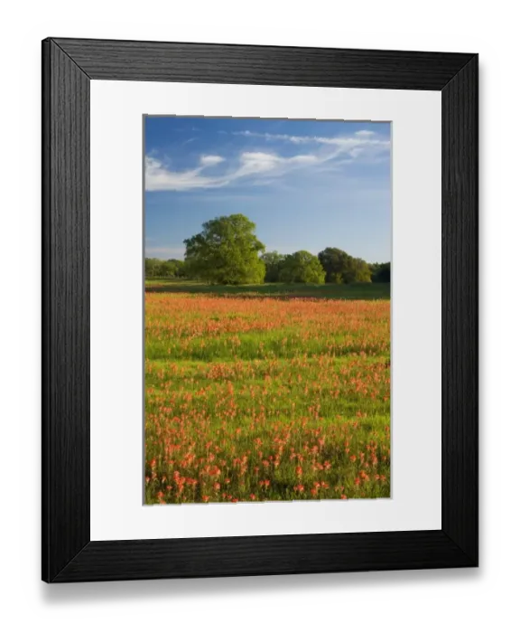 Framed Print : USA, North America, Texas Framed Print : USA, North America, Texas