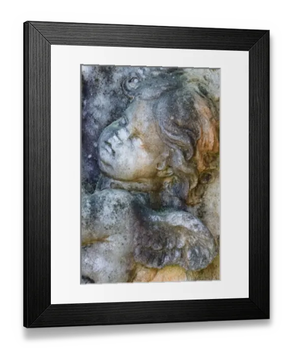 Framed Print : USA, North America, South Carolina