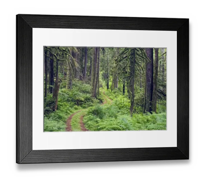 Framed Print : USA, North America, Washington Framed Print : USA, North America, Washington