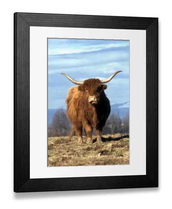 Framed Print : USA, North America, Oregon Framed Print : USA, North America, Oregon