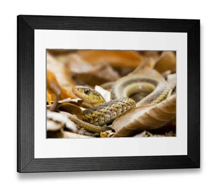 Framed Print : USA, North America, New Jersey