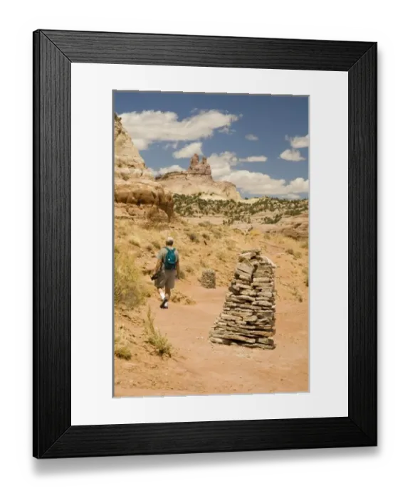 Framed Print : USA, North America, New Mexico