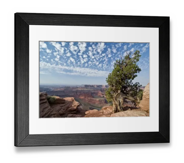 Framed Print : USA, Utah, Deadhorse Point SP. Old Juniper perches on mesa rim under a big buttermilk sky