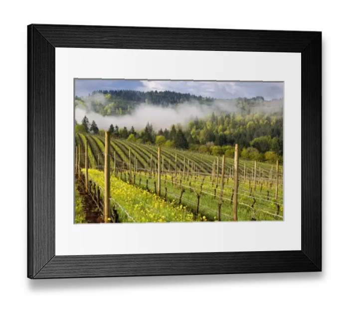 Framed Print : USA, North America, Oregon Framed Print : USA, North America, Oregon