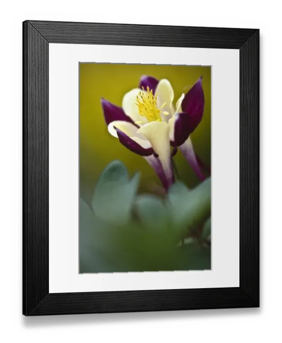 Framed Print : USA, North America, Pennsylvania Framed Print : USA, North America, Pennsylvania