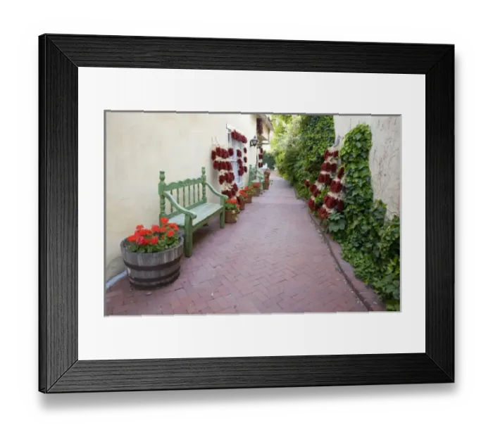 Framed Print : NM, New Mexico, Albuquerque, Historic Old Town, colorful walkway