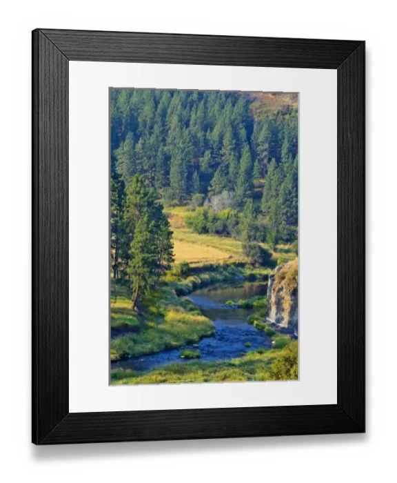Framed Print : The Palouse River near Colfax, Washington