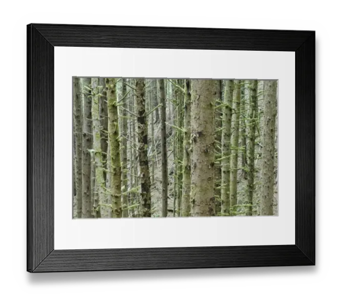 Framed Print : USA, North America, Oregon Framed Print : USA, North America, Oregon