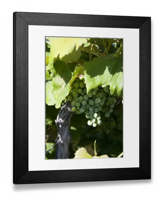 Framed Print : USA, North America, Washington Framed Print : USA, North America, Washington