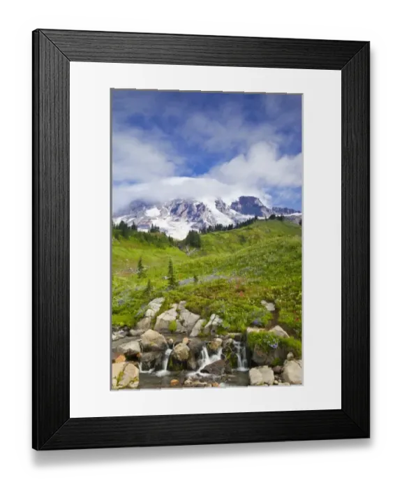 Framed Print : Edith Creek and wildflower meadows at Paradise in Mount Rainier National Park in Framed Print : Edith Creek and wildflower meadows at Paradise in Mount Rainier National Park in