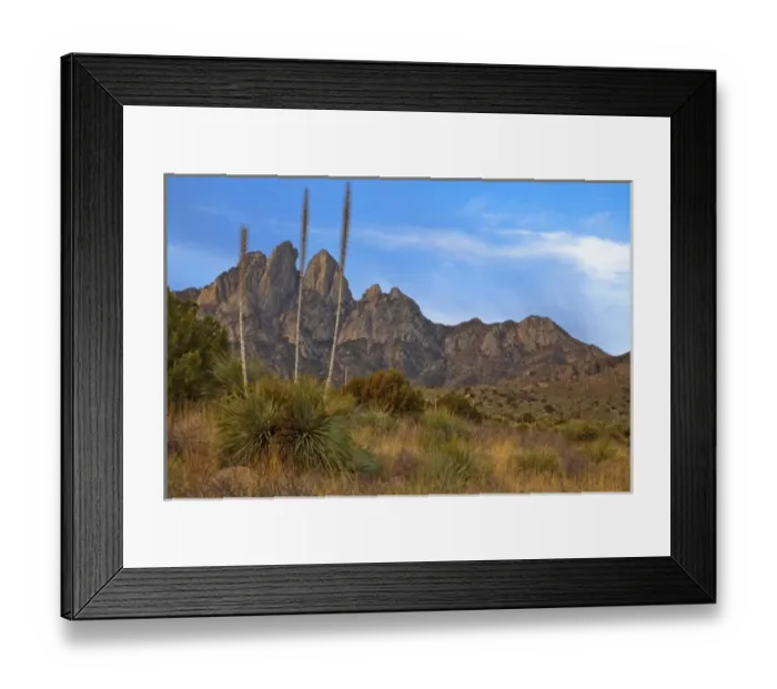 Framed Print : Soaptree Yucca and the Organ Mountains at Aguirre Springs National Recreation Area