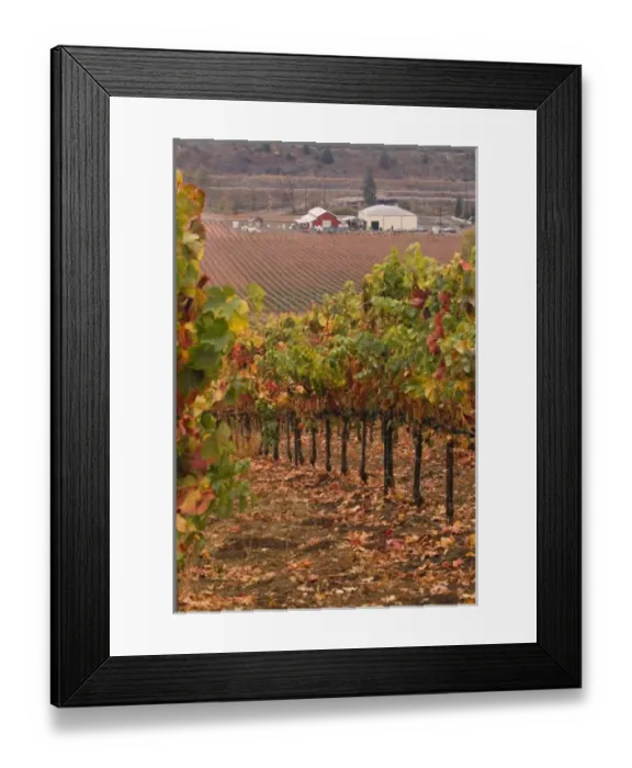 Framed Print : Red barn production area and warehouse at the base of vineyard of Del Rio Winery Framed Print : Red barn production area and warehouse at the base of vineyard of Del Rio Winery