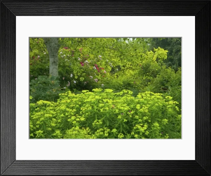 Framed Print : USA, North America, Washington Framed Print : USA, North America, Washington