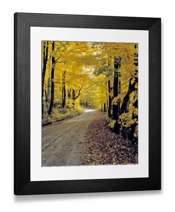 Framed Print : USA, North America, Vermont