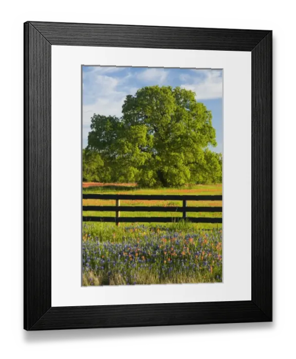 Framed Print : USA, North America, Texas Framed Print : USA, North America, Texas