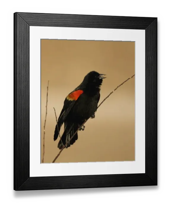 Framed Print : USA, North America, New Mexico