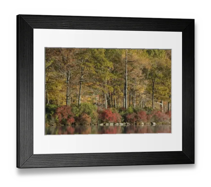 Framed Print : Harriman State Park, New York, USA. Autumn reflections across lake Tiorati