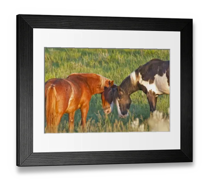 Framed Print : USA, North America, North Dakota Framed Print : USA, North America, North Dakota