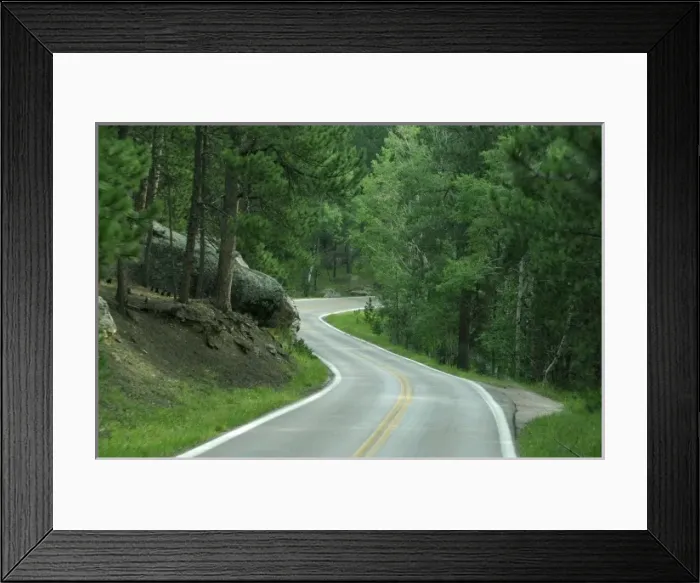 Framed Print : North America, USA, South Dakota, Custer State Park, Needle Highway. IMAGE RESTRICTED