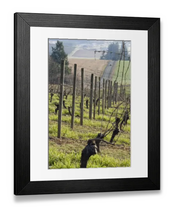 Framed Print : USA, North America, Oregon Framed Print : USA, North America, Oregon