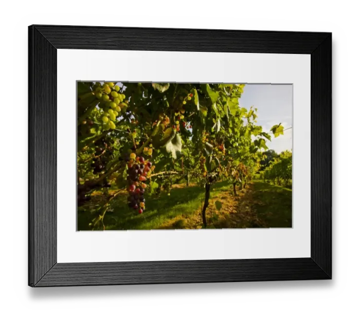 Framed Print : USA, North America, New Hampshire