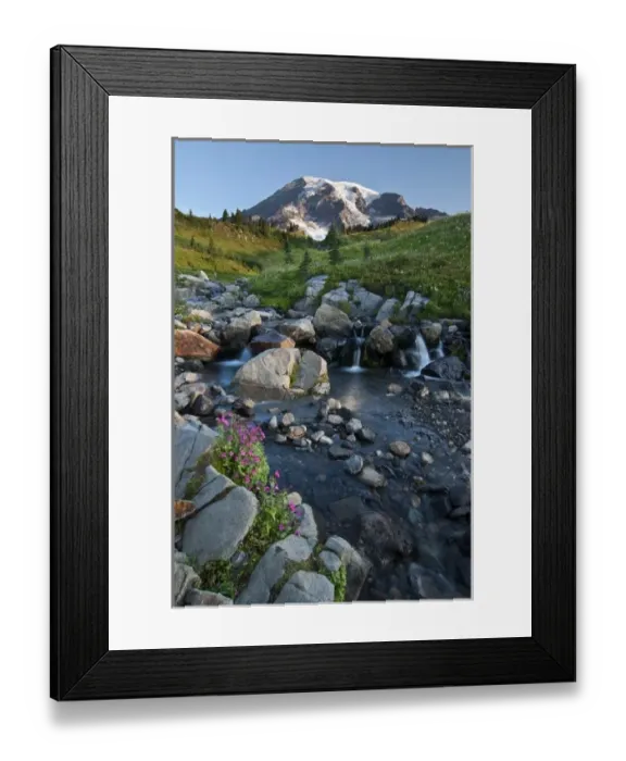 Framed Print : USA, Washington, Mt. Rainier NP. Edith Creek in Paradise Meadows under Mt. Rainier Framed Print : USA, Washington, Mt. Rainier NP. Edith Creek in Paradise Meadows under Mt. Rainier