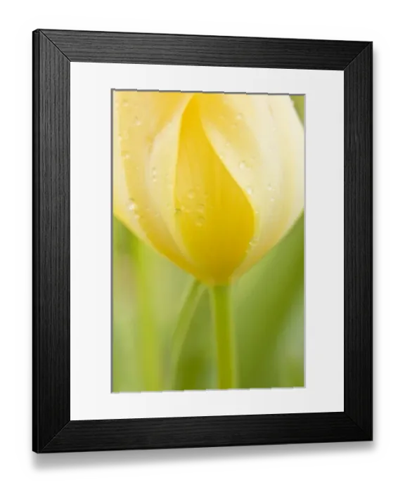 Framed Print : USA, North America, Washington Framed Print : USA, North America, Washington