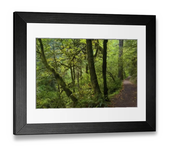 Framed Print : USA, North America, Oregon Framed Print : USA, North America, Oregon