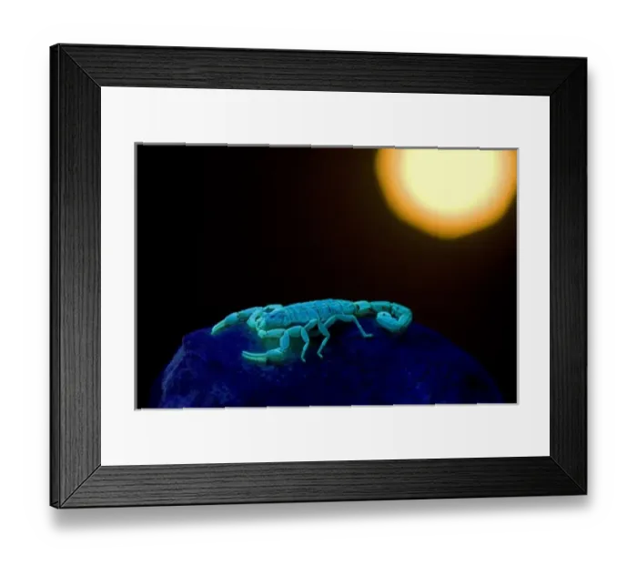 Framed Print : USA, North America, Texas Framed Print : USA, North America, Texas
