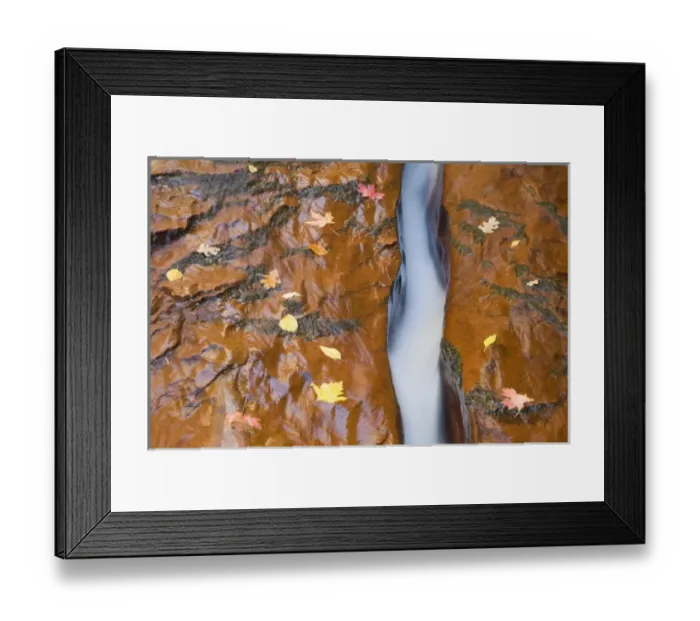 Framed Print : UT, Zion National Park, Water, rock, and leaves, Left Fork of North Creek Framed Print : UT, Zion National Park, Water, rock, and leaves, Left Fork of North Creek