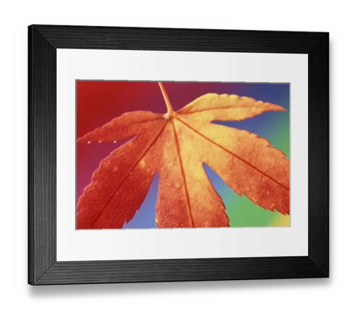 Framed Print : USA, Washington, Bellingham Framed Print : USA, Washington, Bellingham