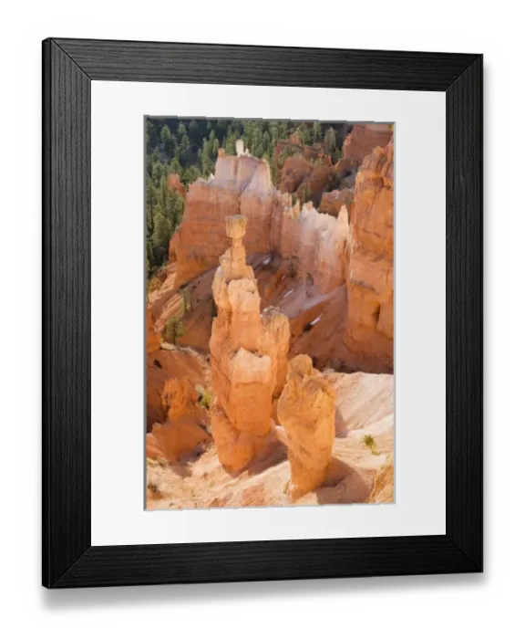 Framed Print : Utah, Bryce Canyon NP, Thors Hammer Framed Print : Utah, Bryce Canyon NP, Thors Hammer