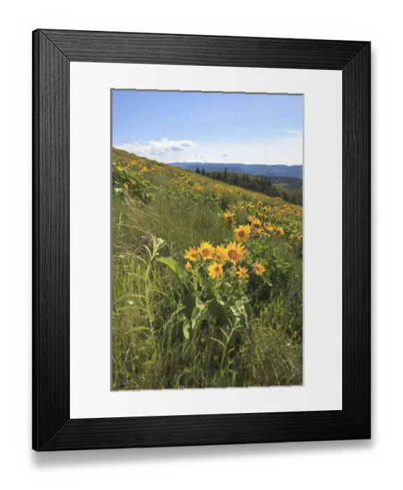 Framed Print : USA, North America, Oregon