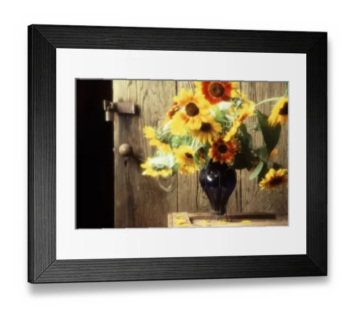 Framed Print : USA, North America, Washington