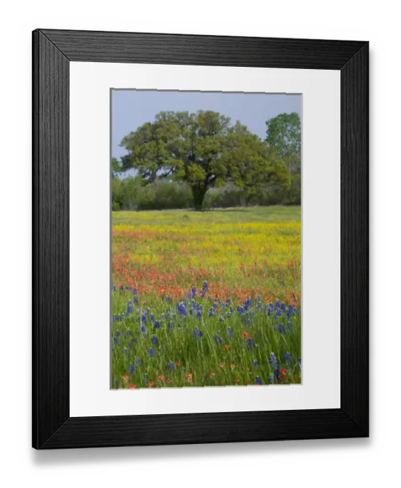 Framed Print : USA, North America, Texas Framed Print : USA, North America, Texas