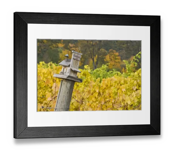 Framed Print : USA, North America, Oregon Framed Print : USA, North America, Oregon