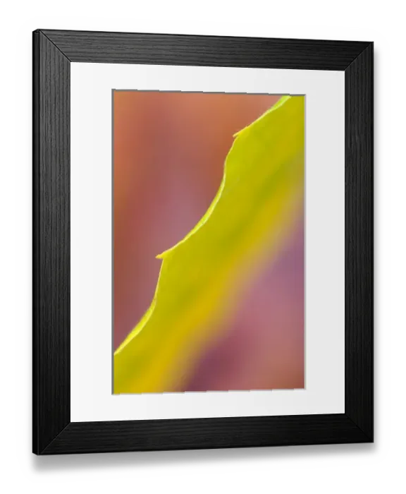 Framed Print : USA, North America, Vermont