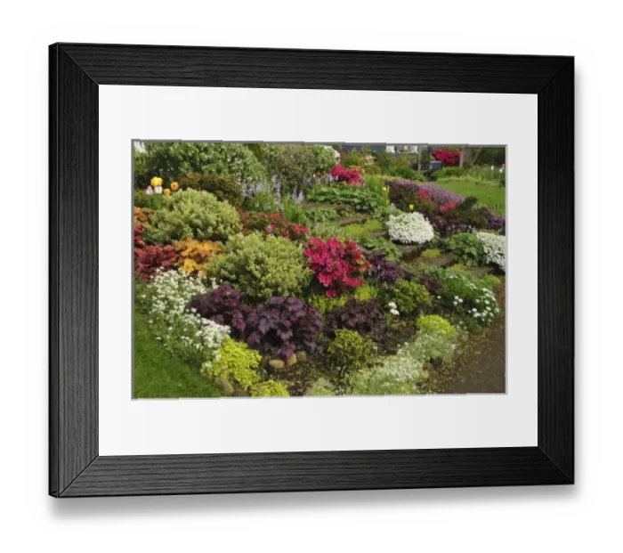 Framed Print : USA, North America, Oregon Framed Print : USA, North America, Oregon